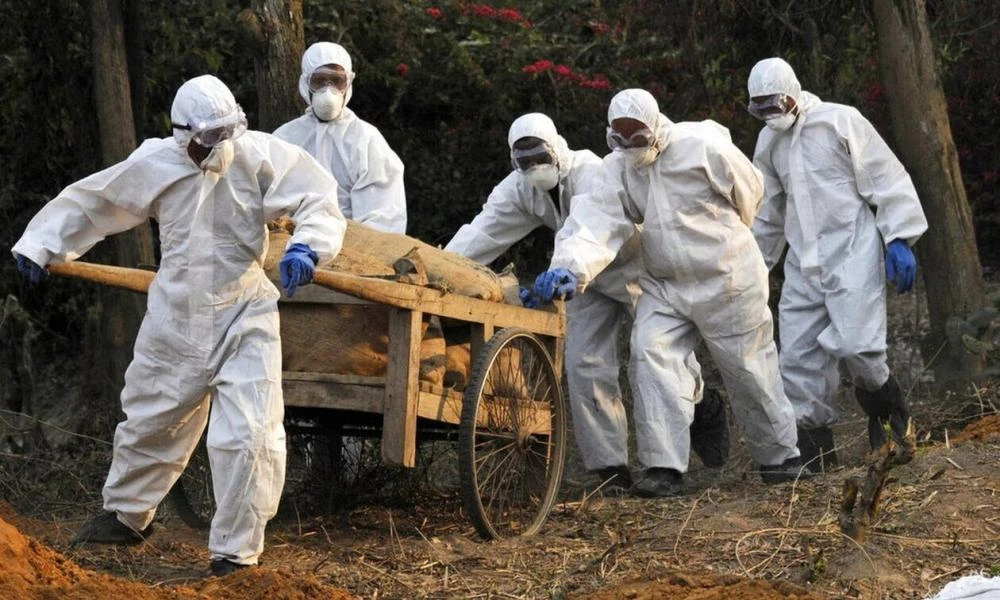 Παγκόσμια ανησυχία: Επανεμφανίστηκε μεσαιωνική ασθένεια